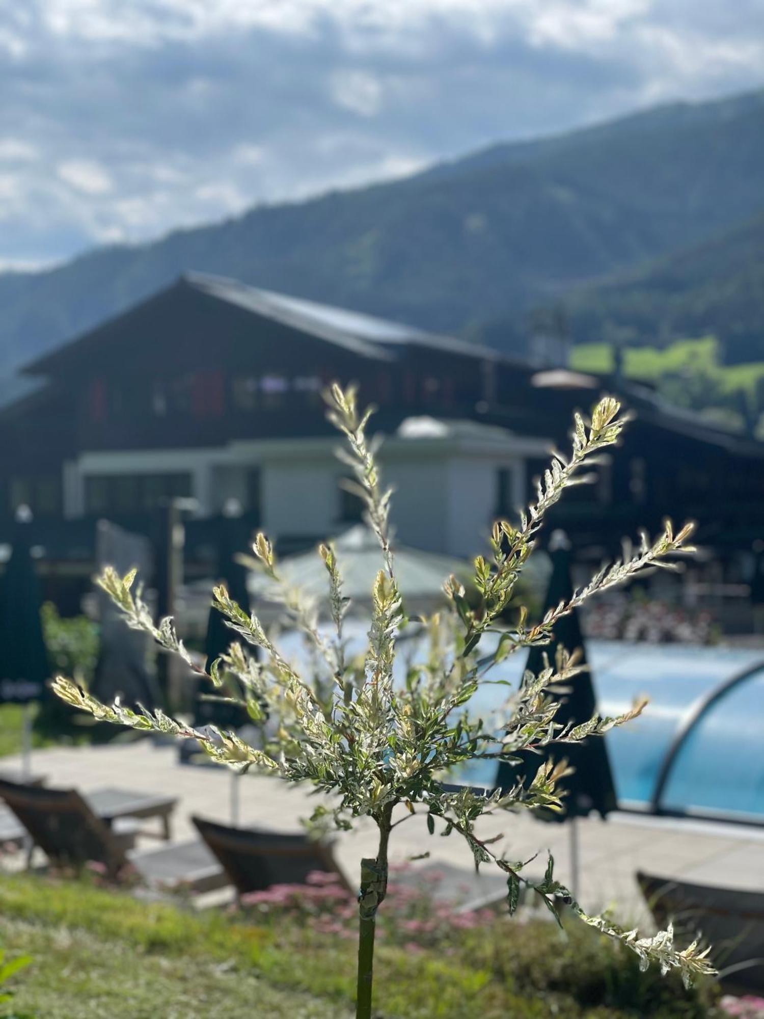 Hotel Senningerbraeu Bramberg am Wildkogel Extérieur photo